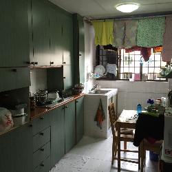 TAMPINES STREET 41 (Tampines), HDB 3 Rooms #35517412